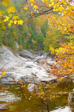 Visiting Wilson’s Creek During the Fall