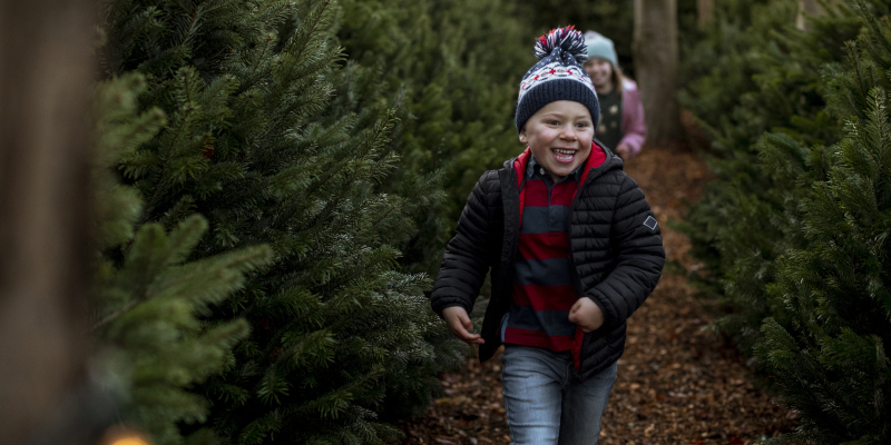 Find and Cut the Perfect Tree When You Visit the Christmas Tree Capital 